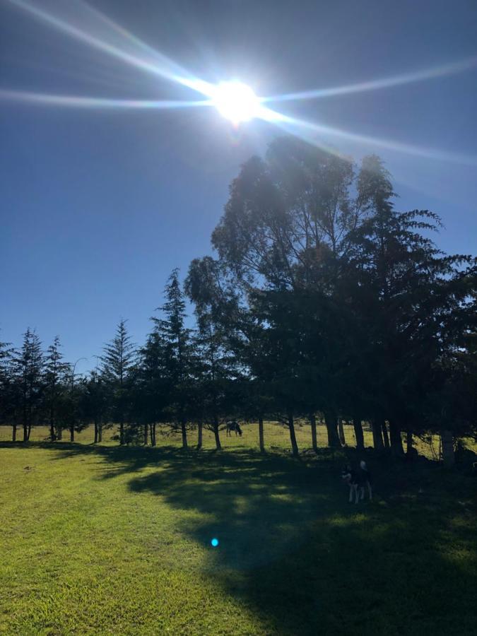 Hotel Boutique Calderon Huasca de Ocampo Εξωτερικό φωτογραφία