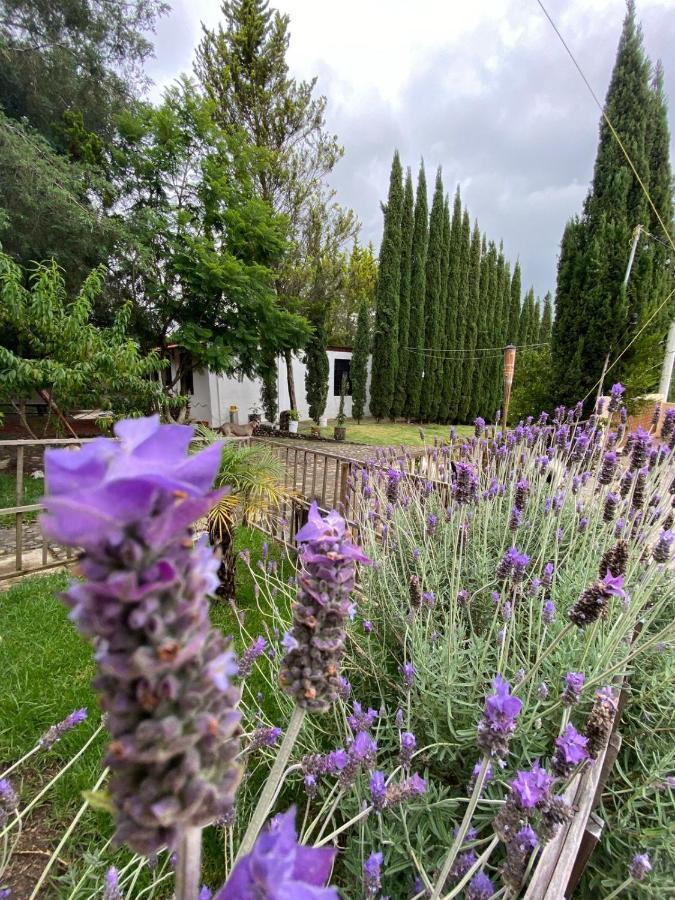 Hotel Boutique Calderon Huasca de Ocampo Εξωτερικό φωτογραφία