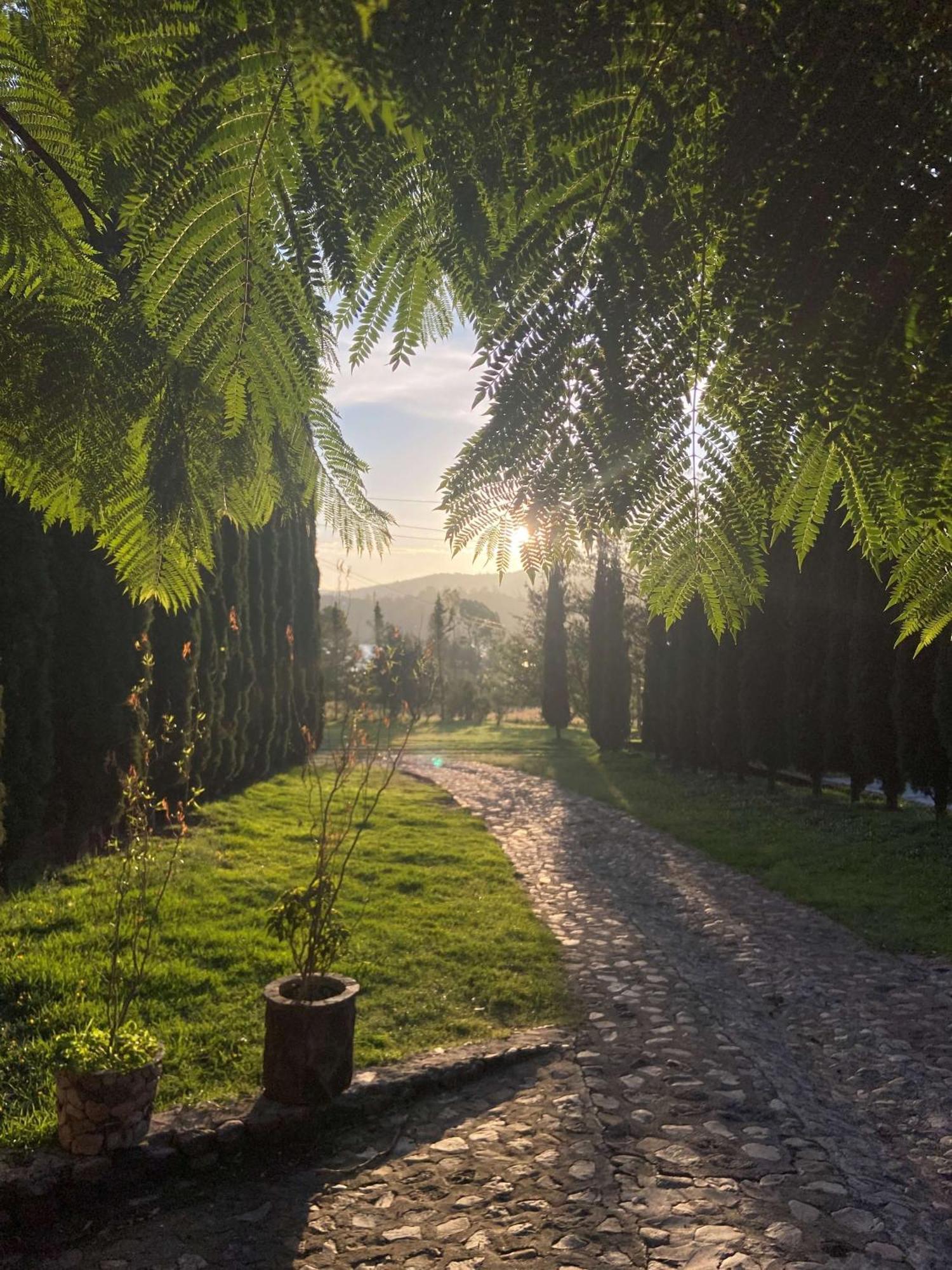 Hotel Boutique Calderon Huasca de Ocampo Εξωτερικό φωτογραφία